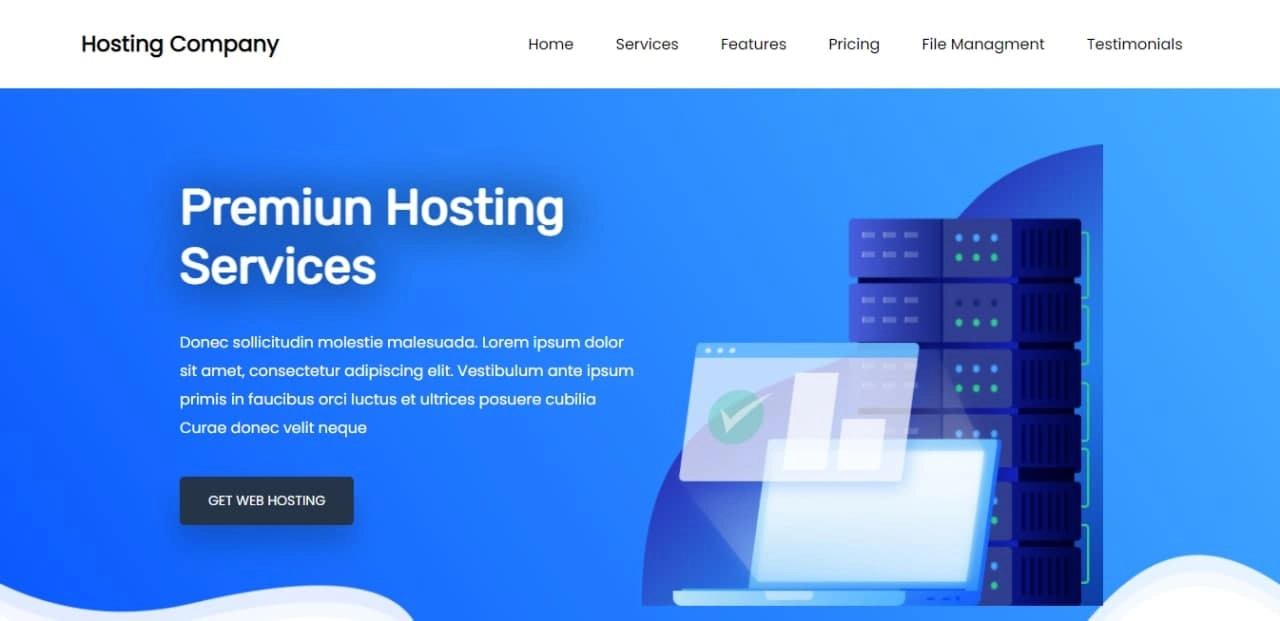 Hosting Company